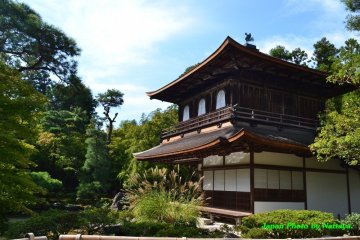 Ginkakuji Temple (วัดเงิน)