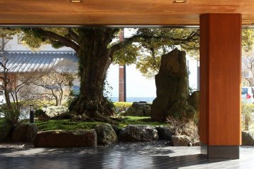 <p>When Beniya&nbsp;was first established, these trees were planted. Throughout Beniya&#39;s&nbsp;history, the trees continue to watch over the ryokan</p>