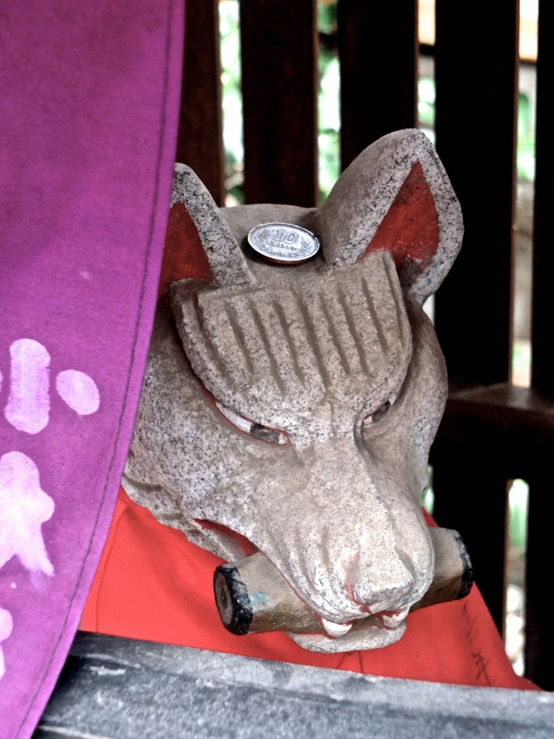 <p>An angry fox inside one of the smaller temples where locals come to pray daily</p>