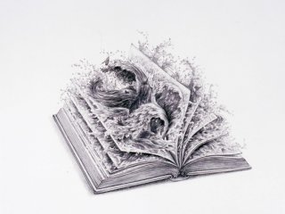 Book Burning- World of Wonder (2007)

photo by Kei Miyajima