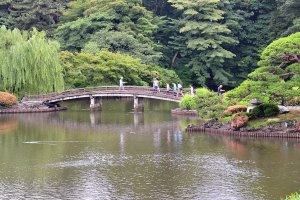 สะพานไม้โค้งในสวนญี่ปุ่นให้ความรู้สึกสงบร่มเย็นท่ามกลางแมกไม้