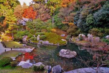 <p>The impressive garden, still in autumn&#39;s colors, even in December</p>