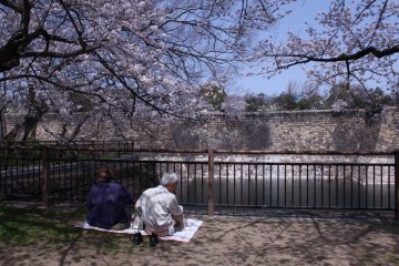 <p>คุณตาคุณยายพากันมานั่งชมซากุระ ที่สวนปราสาทโอซากา</p>