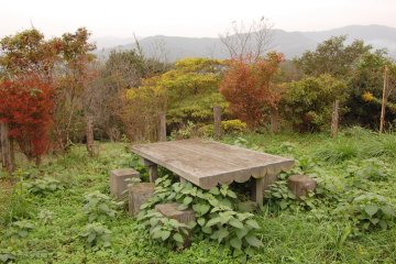A picnic spot.