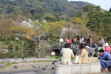 <p>บรรยากาศในสวน Maruyama</p>