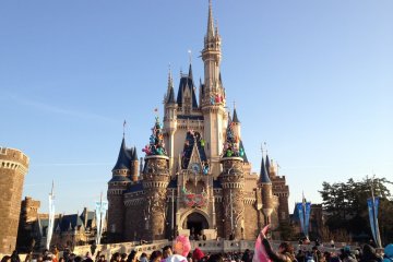 <p>Disneyland Castle</p>
