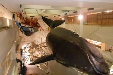 <p>เรือล่าวาฬแบบญี่ปุ่นในสมัยโบราณ และวาฬไรท์แปซิฟิกเหนือที่มีความยาว 15 เมตร</p>