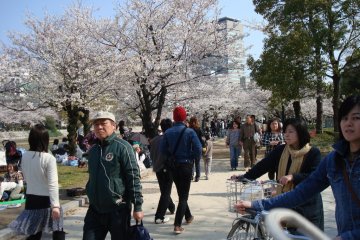 A busy afternoon in Hiroshima Peace Park during cherry blossom season.