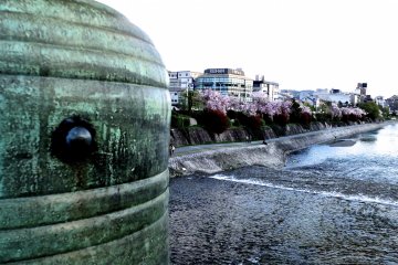 มองไปตามแม่น้ำคะโมะกะวะจากหนึ่งในหลายสะพานที่ทอดข้ามแม่น้ำไปสู่ใจกลางเมืองเกียวโต