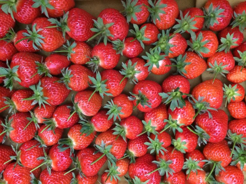 <p>Strawberries for sale in the shop</p>
