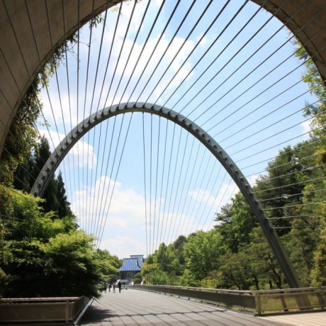 The Must-See Miho Museum