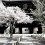 Холмы Храма Куродани, Киото
