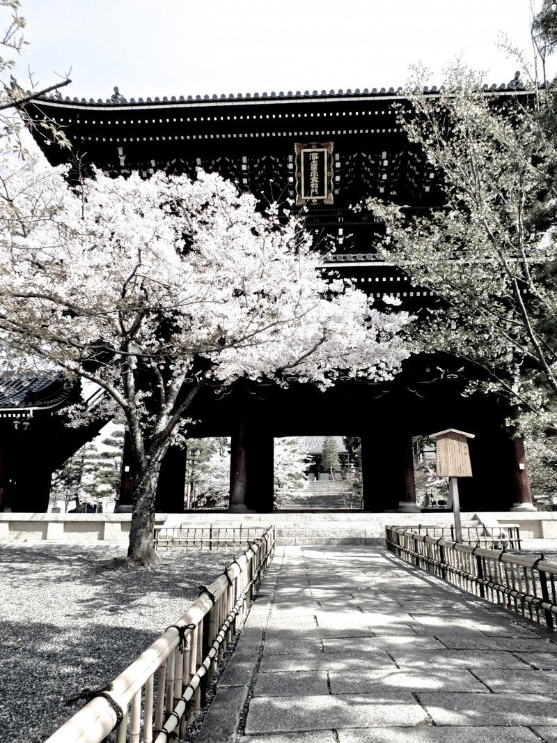 <p>Entrance to Kurodani Temple, Kyoto</p>