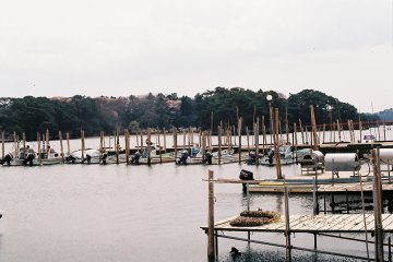 <p>Down at one of the small marinas on the bay</p>
