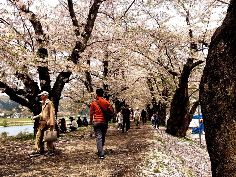 Even in Golden Week you can enjoy strolling here without the crowds that you will find in Kyoto.