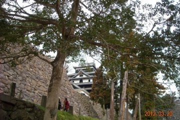 Matsue Castle tower park view