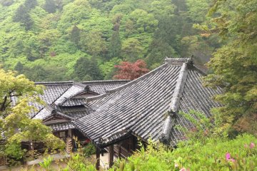 Ёсиминэ-дэра располагается в девственных горах в 30 минутах от Хигаси Муко, поэтому многие туристы пропускают эту достопримечательность по пути из Киото в Осаку. 