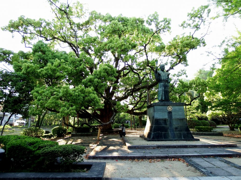 Impressive big tree and statue of Hachisuka Iemasa, the first lord of Tokushima