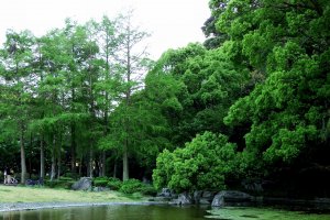 Benten Pond surrounded by lush greenery