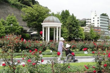 The park is in the middle of Yokosuka City.