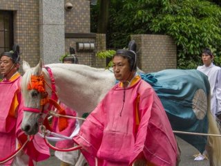 These horses called Sōme (走馬) are dedicated to the Deities of the Shimogama and Kamogamo shrines. They will run in front of these shrines during the annual Aoi Matsuri (葵祭) 2014 in Kyoto City!