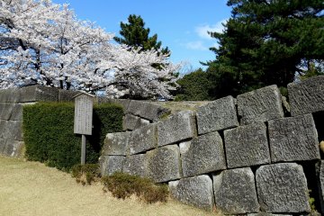 <p>Stone wall damaged and tilted by a big earthquake that hit Fukui in 1948</p>