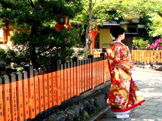 Đám cưới mùa xuân ở Kyoto