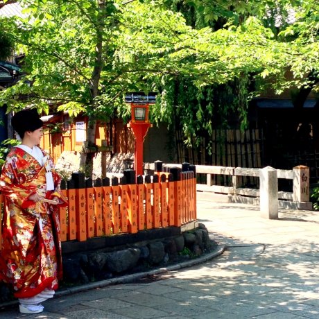 Đám cưới mùa xuân ở Kyoto
