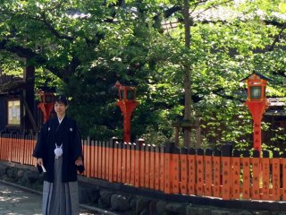 Niềm vui và hạnh phúc trên những con đường cây xanh ở Kyoto