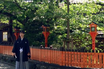 <p>Joy and happiness in the tree lined streets of Kyoto</p>