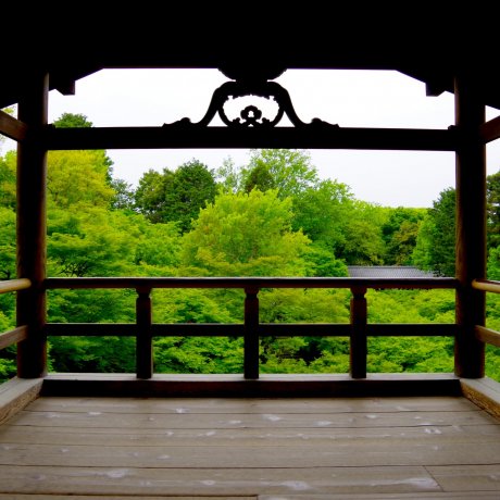 교토  나무 그늘에서 휴식하는 도후쿠지(東福寺)