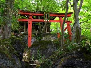 Một cổng torii đỏ đứng ở rìa của một vách đá