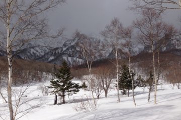 <p>Kagami-ike in winter, viewed from the deck of Donguri House.</p>