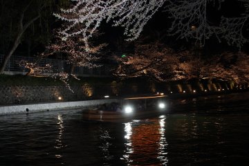 상점 정면의 비와 호수 소수를 달리는 밤벚나무 배가 운치를 더하고 있다