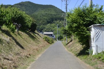 A view of Mt. Hiwada on the walk to Alishan Organic Center and Cafe
