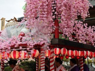山車を飾る枝垂れ桜は祭りの終了後、見物客に配られる。これは火の用心のご利益があるとされる。昭和３１年にあわら温泉が全焼した「あわら大火」への心備えである