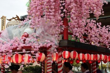 산차를 장식하는 수양 벚꽃은 축제가 끝난 뒤 관람객에게 나눠진다. 이것은 불조심의 은혜가 있다고 한다. 쇼와 31년에 아와라 온천이 전소된 "아와라 대화재"에 대한 대비책이다