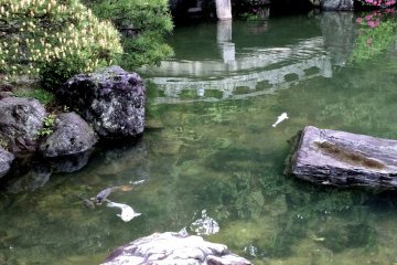 <p>Stone bridge in the pond garden</p>