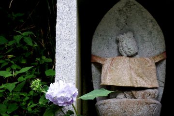 Маленькая статуя Дзидзо и гортензия, которые я увидела на пути к храму Дайандзэндзи