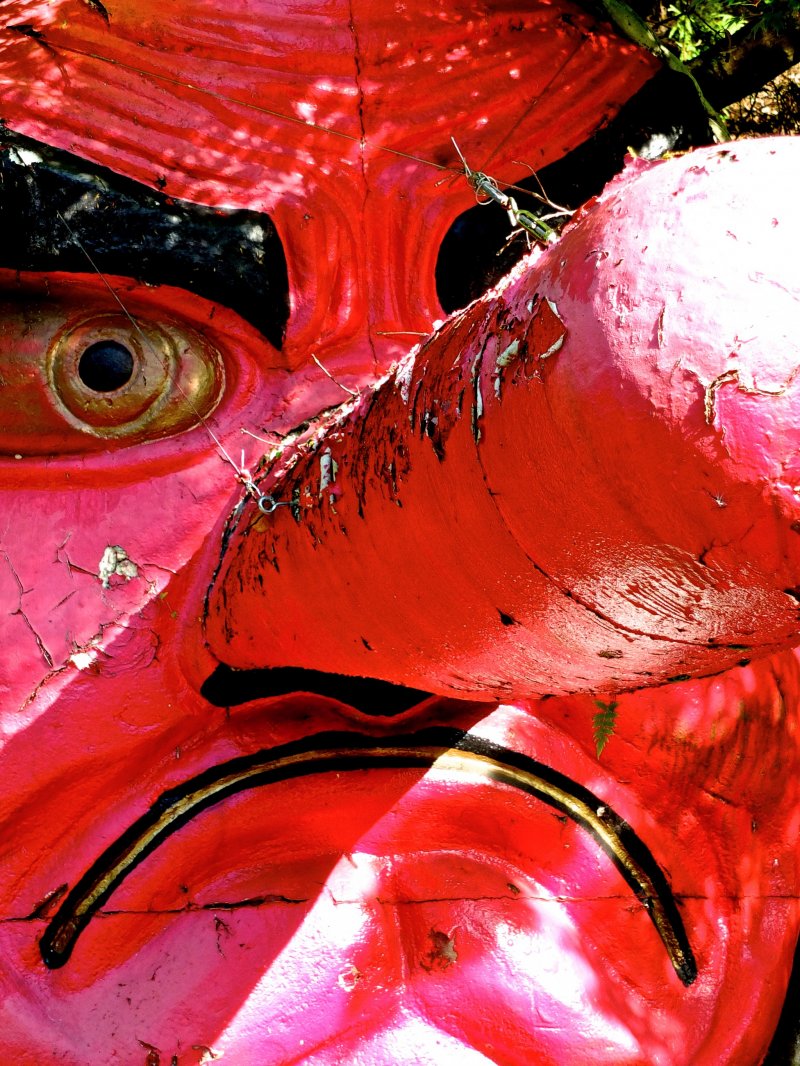 <p>Red-nosed Tengu goblin</p>