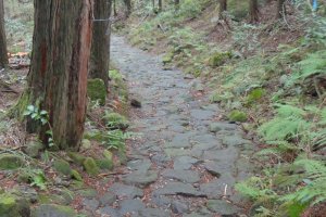 The Old Hakone Highway is a part of the Old Tokaido (the original road connecting Kyoto and Edo). It is now maintained as a hiking course between Moto-Hakone and Hakone Yumoto.