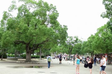 <p>This is the open space spreading out in front of the main tower. Tourists are strolling here and there</p>