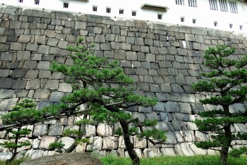 돌담으로 만든 시키리몬에 들어서면 주탑의 옆모습이 보인다. 그 통로는 아름다운 소나무로 장식되어 있다