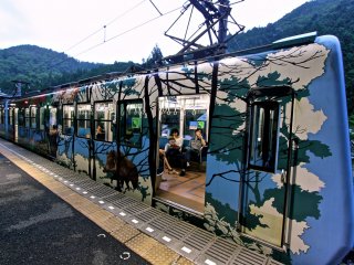 รถไฟสาย Eizan Electric Railway ขบวนสีสดใสที่มุ่งหน้าสู่สถานี Kurama