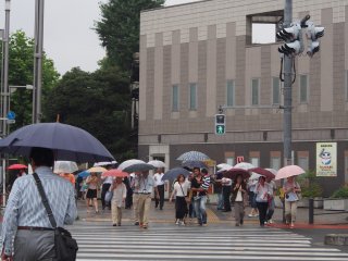Tokyo carries on under a sea of umbrellas, even if there is only light drizzle