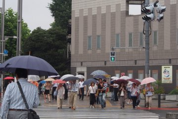Токио утопает в море зонтов, даже если слегка моросит