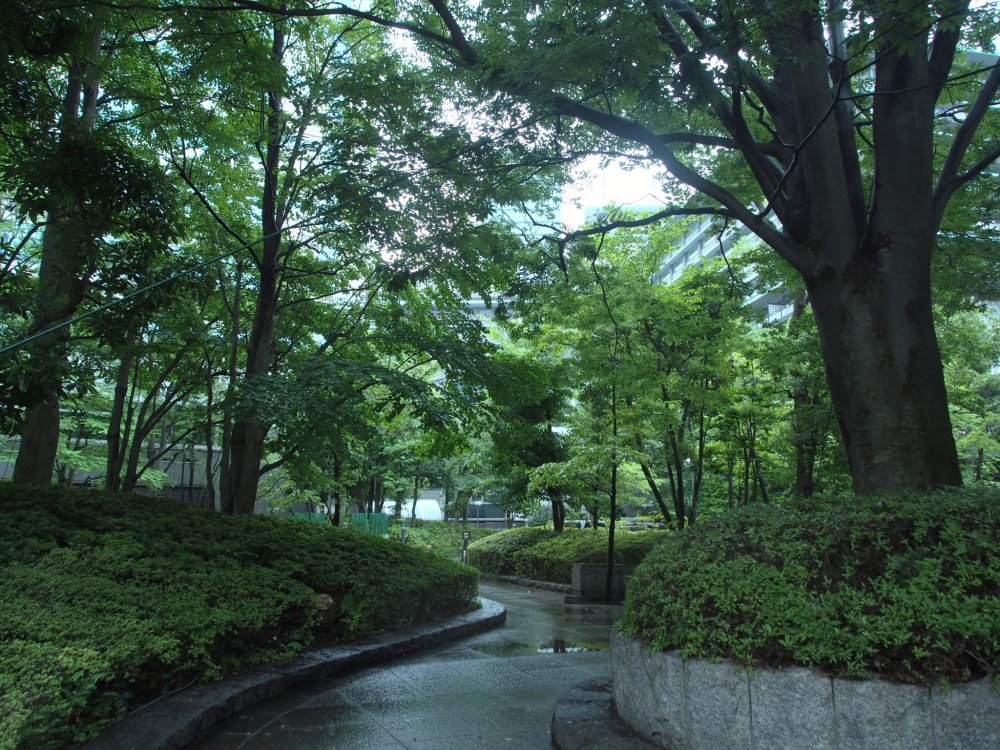 Glistening pathways in the gardens next to the Toranomon Twin Building