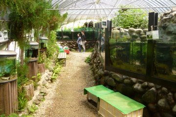 <p>An unusual, but welcome addition to a folk museum</p>