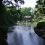 The Serenity of Togoshi Park