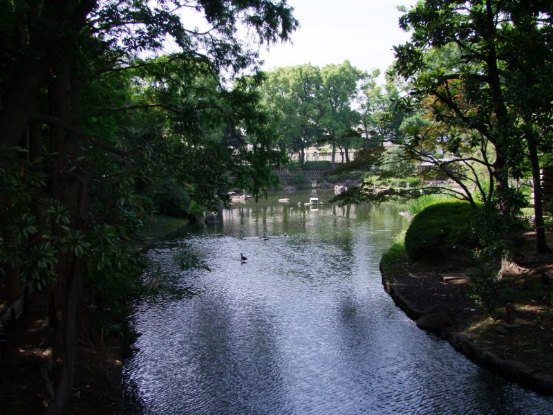 <p>A beautiful look at Togoshi Park</p>